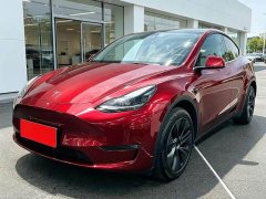 Tesla Model Y Long Range All-Wheel Drive - ფოტო 1