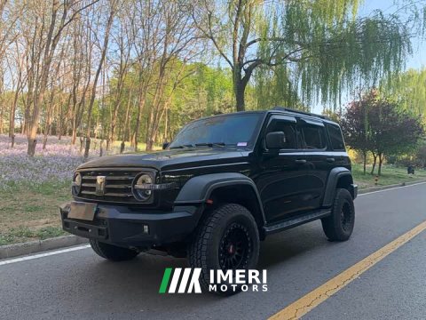 2022 Tank 300 2021 Off-Road Edition 2.0T Conqueror - ავტომობილი ჩინეთიდან
