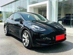 Tesla Model Y Long Range All-Wheel Drive - ფოტო 1