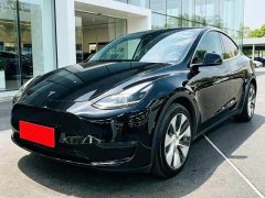Tesla Model Y Long Range All-Wheel Drive - ფოტო 3