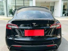 Tesla Model Y Long Range All-Wheel Drive - ფოტო 8
