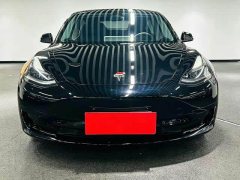Tesla Model 3 Rear-Wheel Drive - ფოტო 2