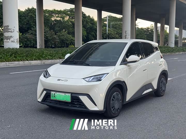 BYD Seagull 2023 Vitality Edition - ავტომობილი ჩინეთიდან