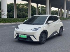 BYD Seagull 2023 Vitality Edition - ფოტო 1