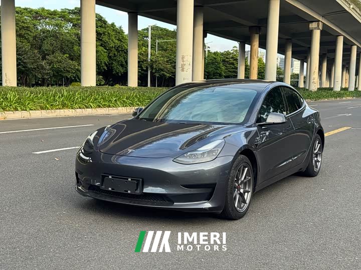 Tesla Model 3 Rear-Wheel Drive