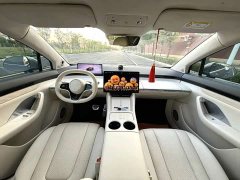 Luxeed Zhiji R7 Extended Range 251km Pro - ფოტო 6