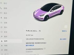 Tesla Model 3 Rear-Wheel Drive - ფოტო 8