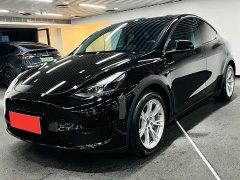 Tesla Model Y Rear-Wheel Drive - ფოტო 1