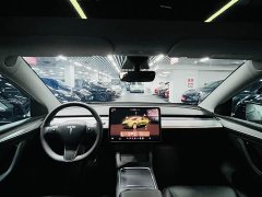 Tesla Model Y Rear-Wheel Drive - ფოტო 9