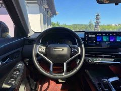 Haval Chitu Jingxiang Edition 1.5T Purple Copper Rabbit - ფოტო 16