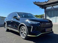 Haval Chitu Jingxiang Edition 1.5T Purple Copper Rabbit - ფოტო 3
