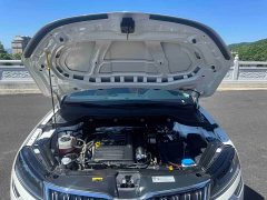 Skoda Karoq Corollac Facelift TSI280 Luxury Edition - ფოტო 19