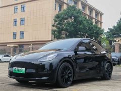 Tesla Model Y Standard Range RWD - ფოტო 1