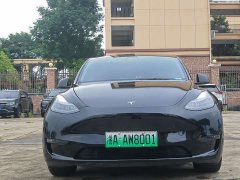 Tesla Model Y Standard Range RWD - ფოტო 2