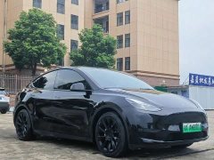 Tesla Model Y Standard Range RWD - ფოტო 3