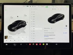 Tesla Model 3 Rear-Wheel Drive - ფოტო 15