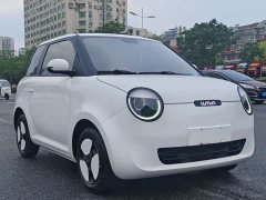 Changan Lumin 301km Honey Sweet Edition - ფოტო 3