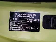 Zeekr Geely Zeekr MIX 2025 Smart Driving Edition - ფოტო 18