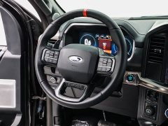Ford F-150 Raptor 3.5T Raptor - ფოტო 15