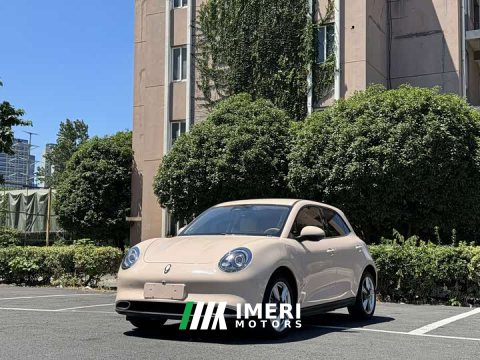 2023 ORA Good Cat 401km Standard Range Luxury LFP - ავტომობილი ჩინეთიდან