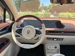 ORA Good Cat 401km Standard Range Luxury LFP - ფოტო 16