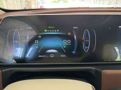 ORA Good Cat 401km Standard Range Luxury LFP - ფოტო 19