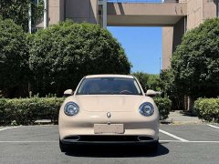 ORA Good Cat 401km Standard Range Luxury LFP - ფოტო 3