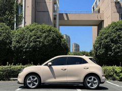 ORA Good Cat 401km Standard Range Luxury LFP - ფოტო 5