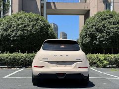 ORA Good Cat 401km Standard Range Luxury LFP - ფოტო 6