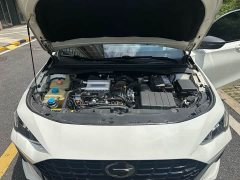 Trumpchi Leopard 2021 270T DCT J10 Flying Man Edition - ფოტო 17