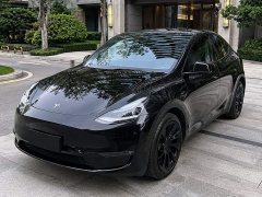 Tesla Model Y Rear-Wheel Drive - ფოტო 1