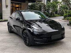 Tesla Model Y Rear-Wheel Drive - ფოტო 3