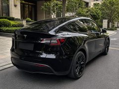 Tesla Model Y Rear-Wheel Drive - ფოტო 4