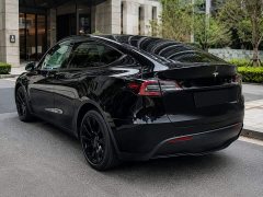 Tesla Model Y Rear-Wheel Drive - ფოტო 5