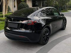 Tesla Model Y Rear-Wheel Drive - ფოტო 6