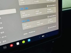 Tesla Model Y Rear-Wheel Drive - ფოტო 8