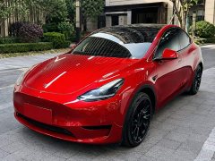 Tesla Model Y 2022 Rear-Wheel Drive - ფოტო 1