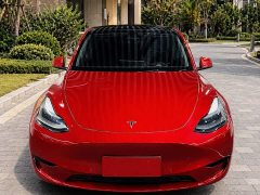 Tesla Model Y 2022 Rear-Wheel Drive - ფოტო 2