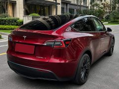 Tesla Model Y 2022 Facelift Rear-Wheel Drive - ფოტო 6