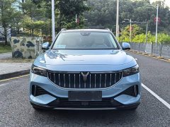 Voyah Lantu FREE Four-Wheel Drive Standard Pure Electric Exclusive Luxury Package - ფოტო 4