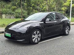 Tesla Model Y Rear-Wheel Drive - ფოტო 1