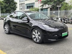 Tesla Model Y Rear-Wheel Drive - ფოტო 7