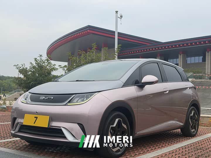BYD Dolphin 405km Fashion Edition - ავტომობილი ჩინეთიდან
