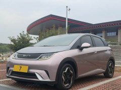 BYD Dolphin 405km Fashion Edition - ფოტო 1