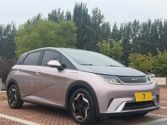 BYD Dolphin 405km Fashion Edition - ფოტო 8