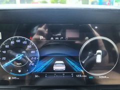 Kia Jiahui Jianghua 2.0T Luxury Tech Edition - photo 14