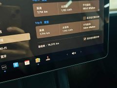 Tesla Model Y Standard Range RWD - ფოტო 10
