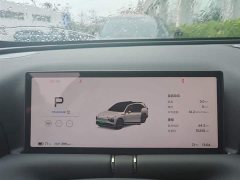 XPeng G9 2022 650 Performance Max - ფოტო 4