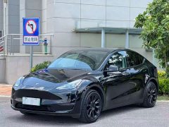 Tesla Model Y Long Range All-Wheel Drive - ფოტო 1