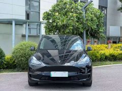 Tesla Model Y Long Range All-Wheel Drive - ფოტო 2